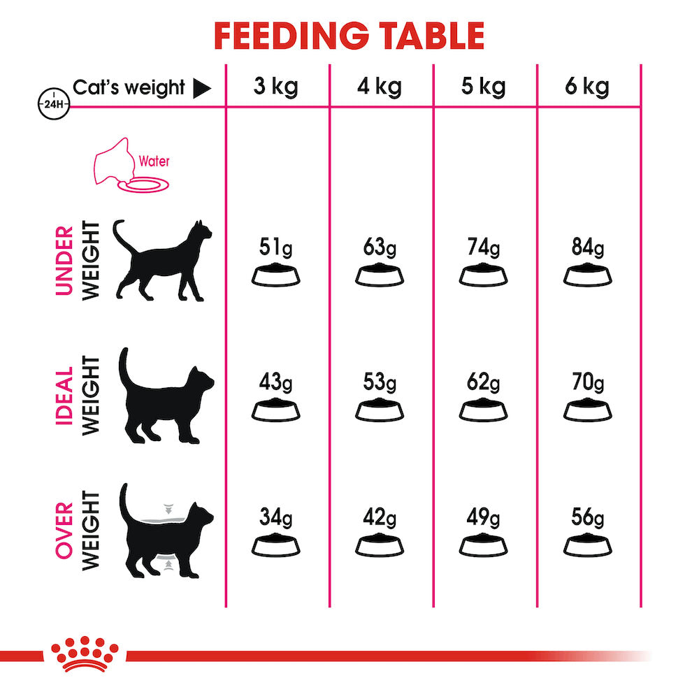 ROYAL CANIN Savour Exigent