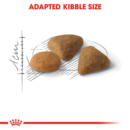 ROYAL CANIN Savour Exigent