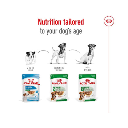 ROYAL CANIN Mini Adult Wet Dog Food Pouch