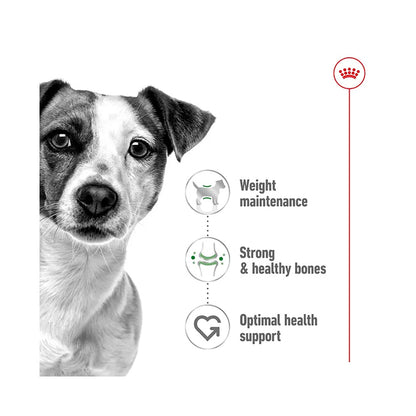 ROYAL CANIN Mini Adult Wet Dog Food Pouch