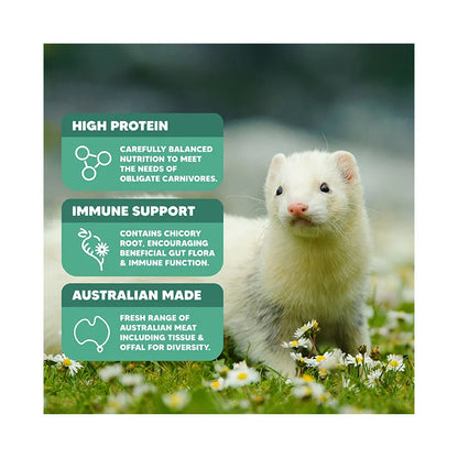 VETAFARM Ferret Origins