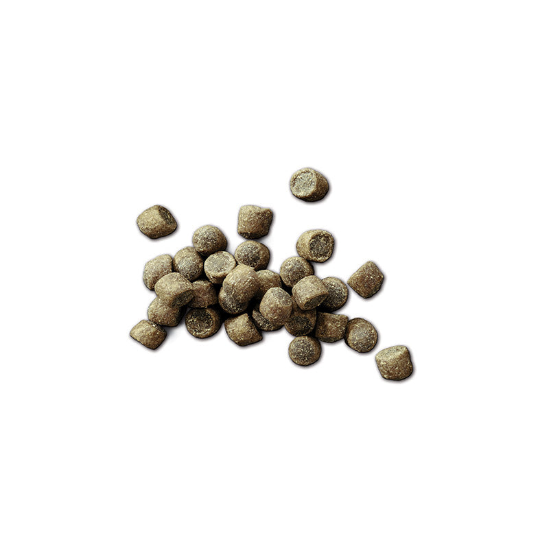 FOOD FOR DOGS Adult Beef Recipe