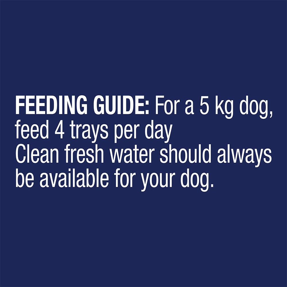 ADVANCE Adult All Breed Salmon Casserole Trays Wet Dog Food
