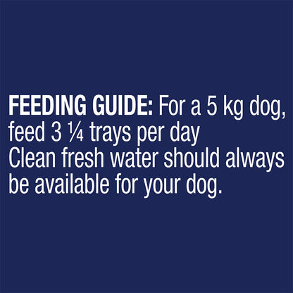 ADVANCE Healthy Weight Adult All Breed Turkey with Rice Trays Wet Dog Food