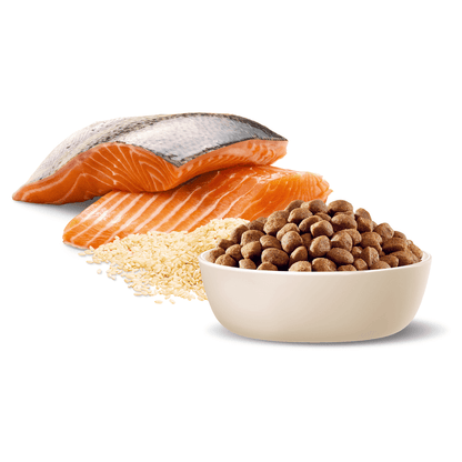 ADVANCE Oodles Adult Large Breed Salmon with Rice Dry Dog Food