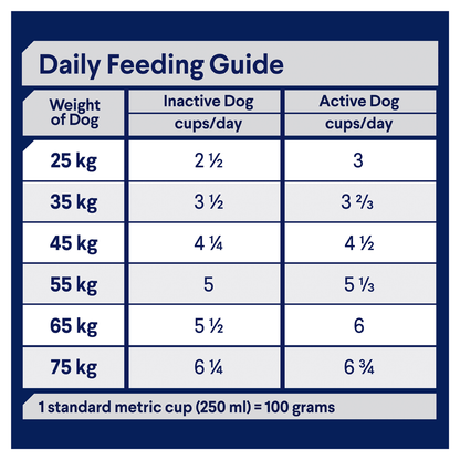 ADVANCE Oodles Adult Large Breed Salmon with Rice Dry Dog Food