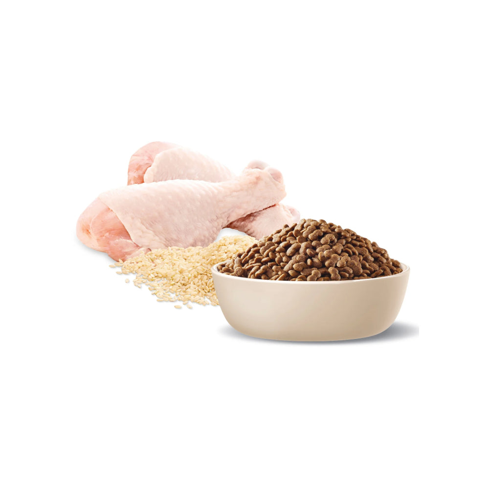 ADVANCE Adult Small Breed Chicken with Rice Dry Dog Food
