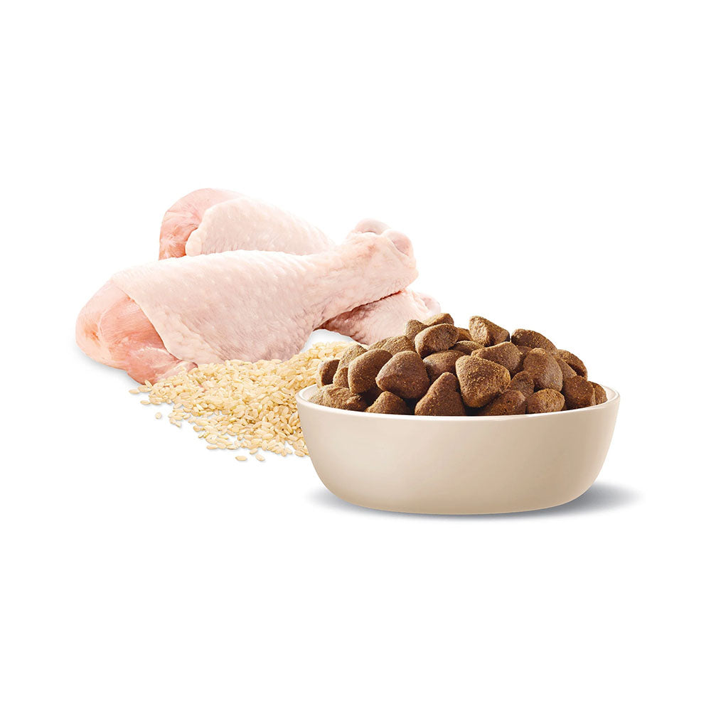 ADVANCE Healthy Ageing Large Breed Chicken with Rice Dry Dog Food