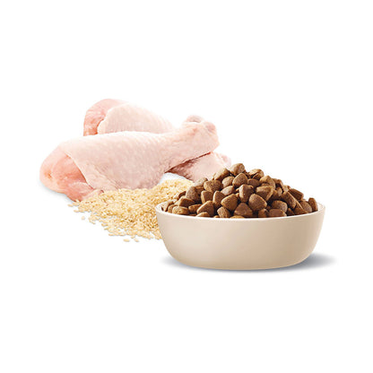 ADVANCE Healthy Ageing Medium Breed Chicken with Rice Dry Dog Food