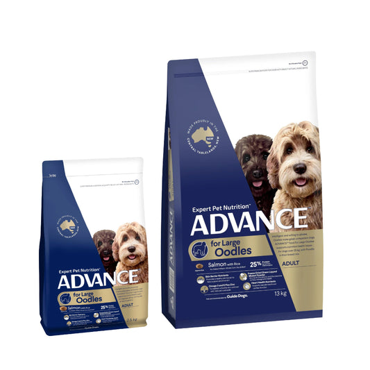 ADVANCE Oodles Adult Large Breed Salmon with Rice Dry Dog Food