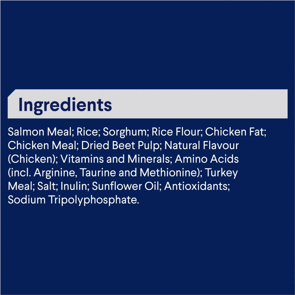 ADVANCE Oodles Adult Small Breed Salmon with Rice Dry Dog Food