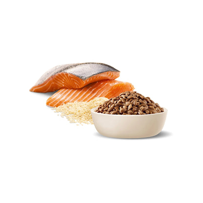 ADVANCE Oodles Adult Small Breed Salmon with Rice Dry Dog Food