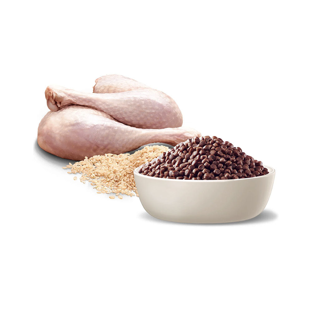 ADVANCE Sensitive Skin & Digestion Small Puppy Turkey and Rice Dry Dog Food
