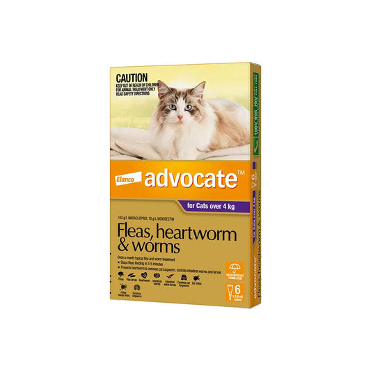 ADVOCATE For Cats over 4kg