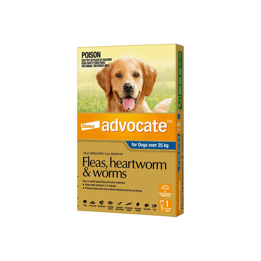 ADVOCATE For Dogs over 25kg