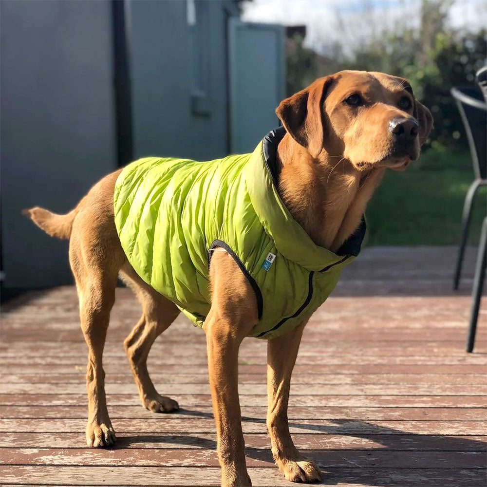 AIRYVEST Reversible Puffer Dog Jacket