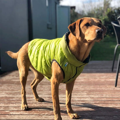 AIRYVEST Reversible Puffer Dog Jacket