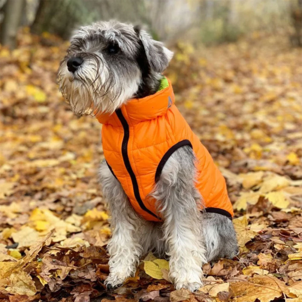 AIRYVEST Reversible Puffer Dog Jacket