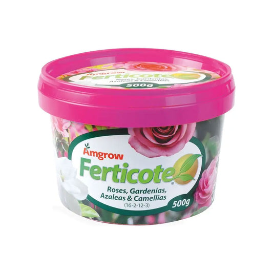 AMGROW Ferticote Rose, Gardenia, Azalea & Camellia