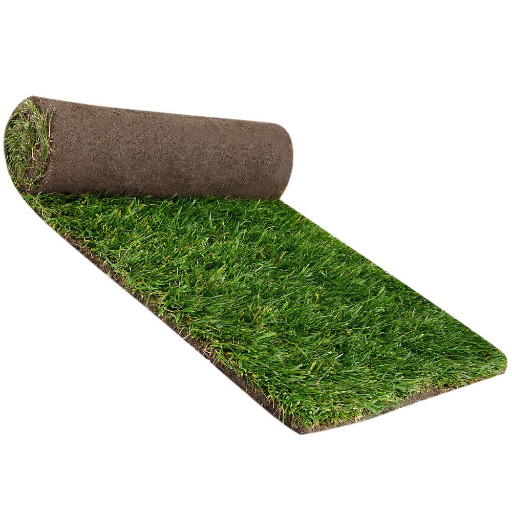 ANCO Instant Turf Eureka Kikuyu - per m2