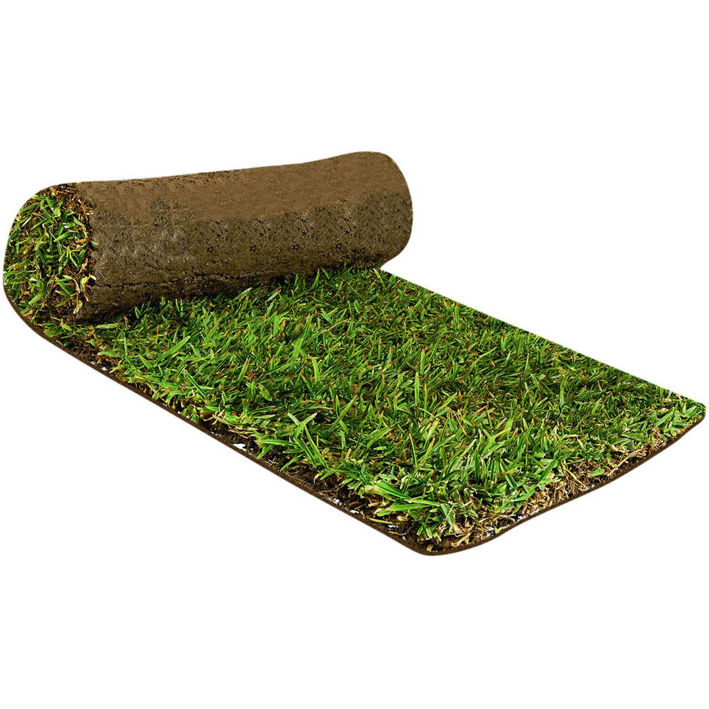 ANCO Instant Turf Sir Walter DNA Certified - per m2