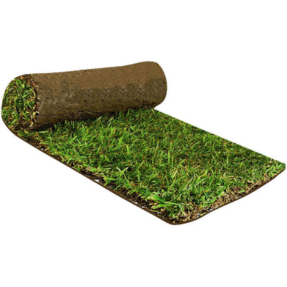 ANCO Instant Turf Sir Walter DNA Certified - per m2