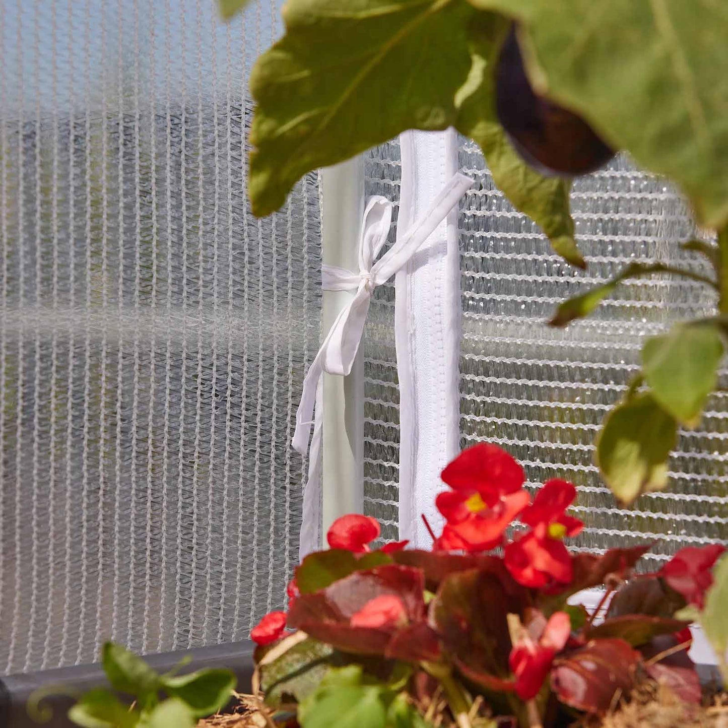 BACKYARD FARMER Georgie The Protection Canopy