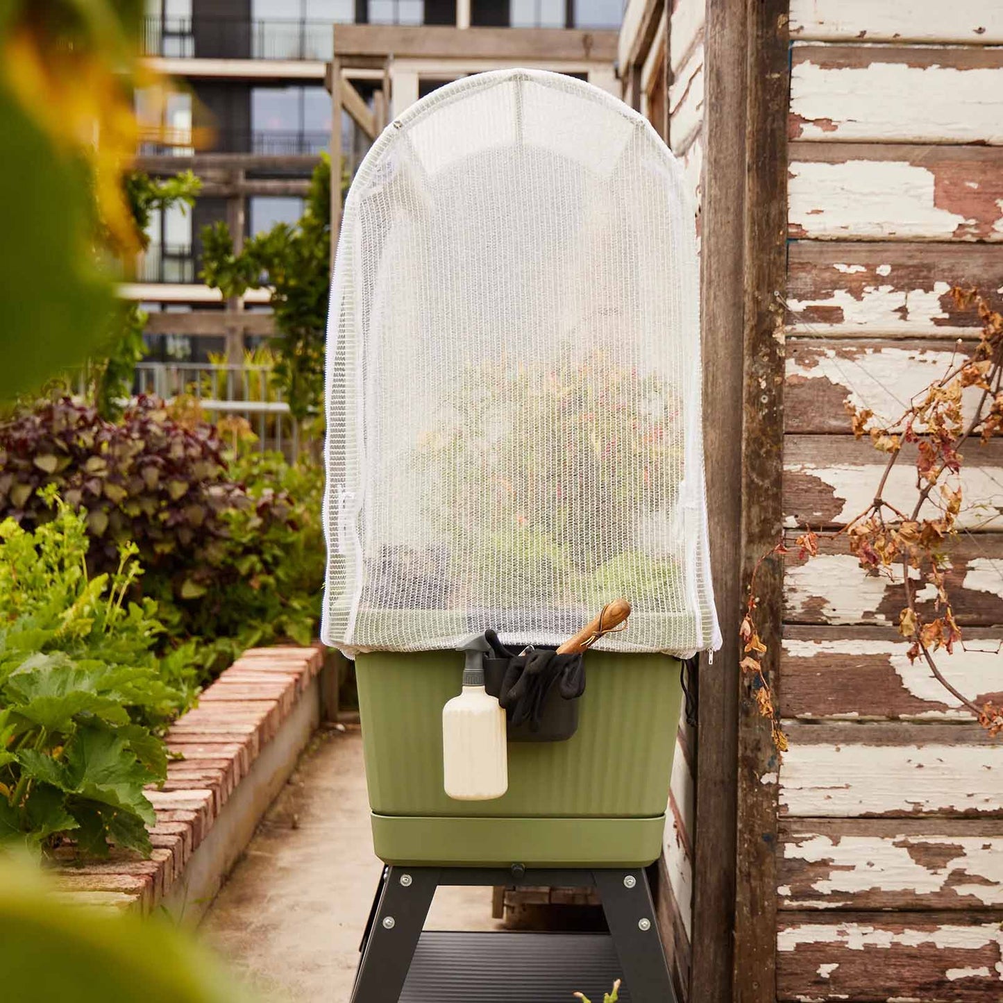 BACKYARD FARMER Georgie The Protection Canopy