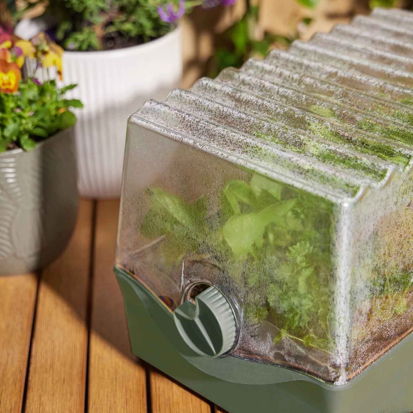 BACKYARD FARMER Flori The Seed Raising Kit