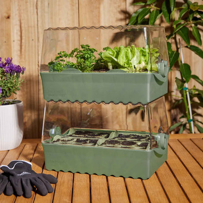 BACKYARD FARMER Flori The Seed Raising Kit