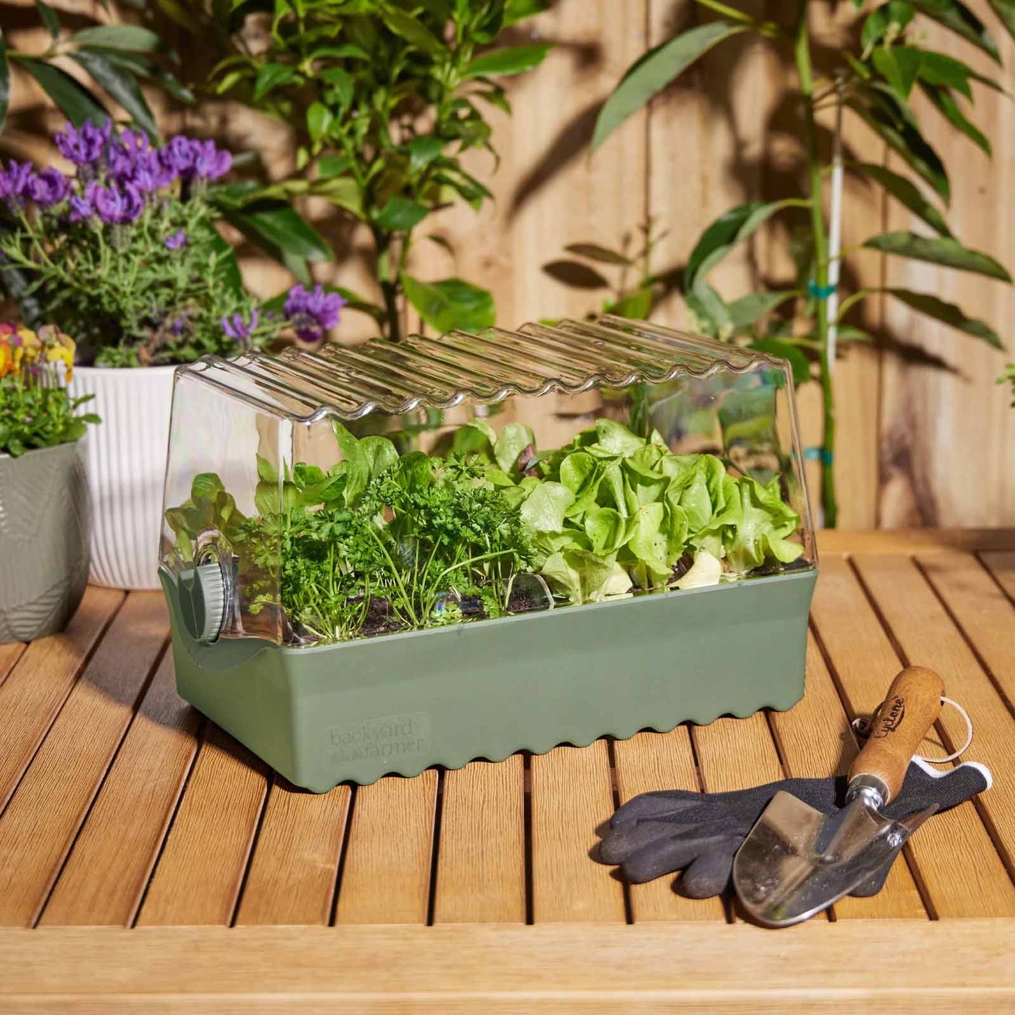 BACKYARD FARMER Flori The Seed Raising Kit