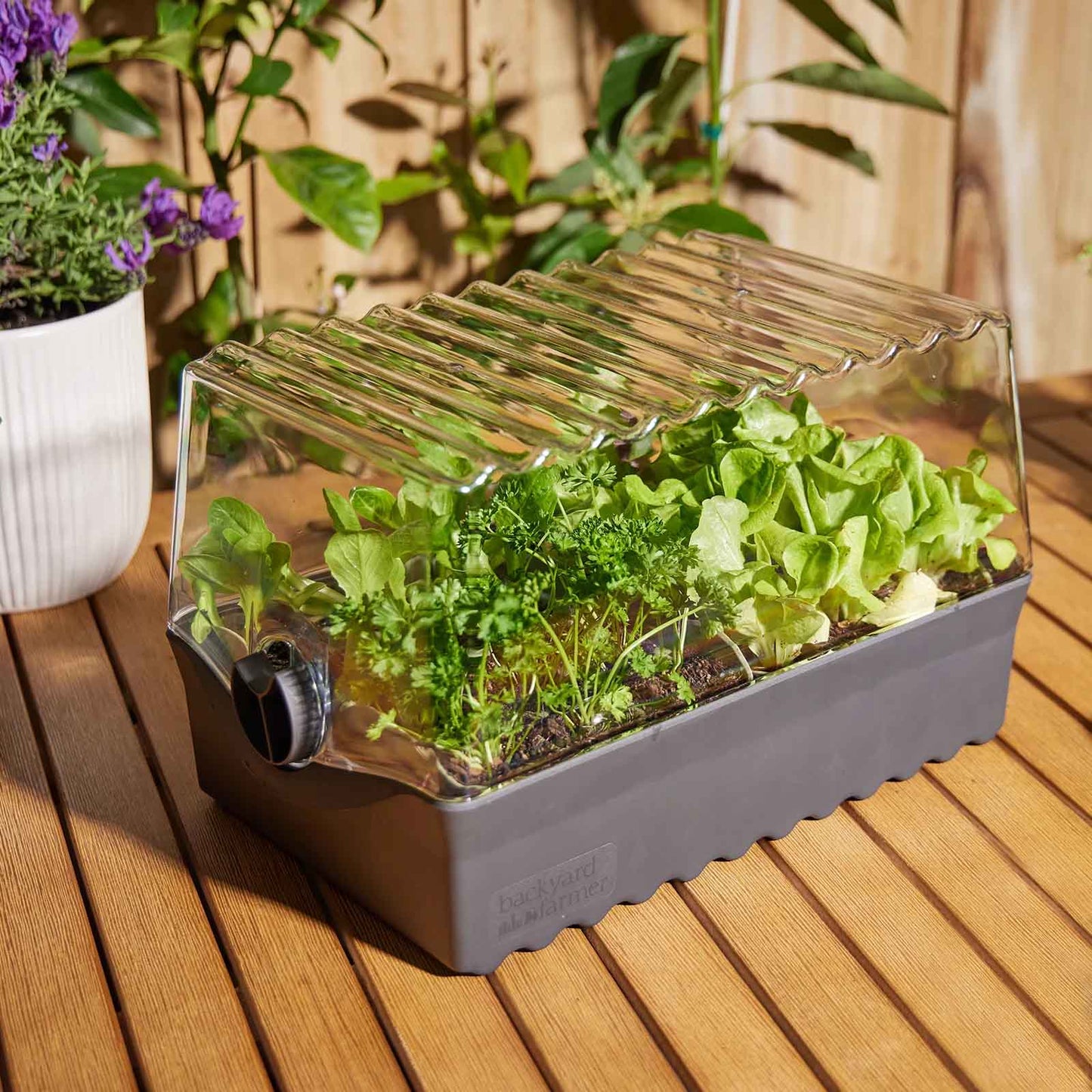 BACKYARD FARMER Flori The Seed Raising Kit