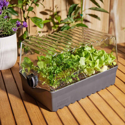 BACKYARD FARMER Flori The Seed Raising Kit