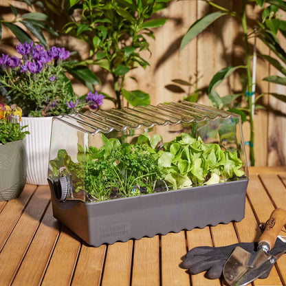 BACKYARD FARMER Flori The Seed Raising Kit