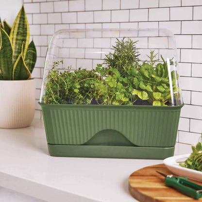 BACKYARD FARMER Lula Mini Greenhouse