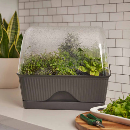 BACKYARD FARMER Lula Mini Greenhouse