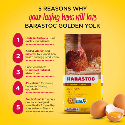 BARASTOC Golden Yolk Layers