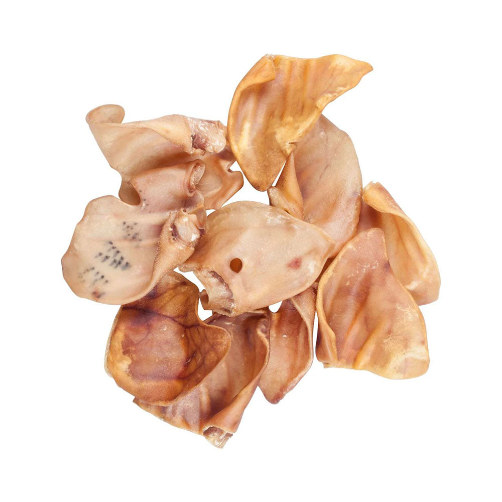 BLACKDOG Pig Ears