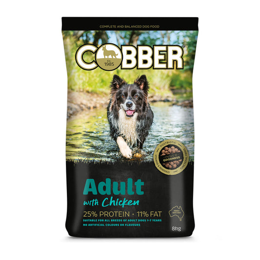 COBBER Adult with Chicken