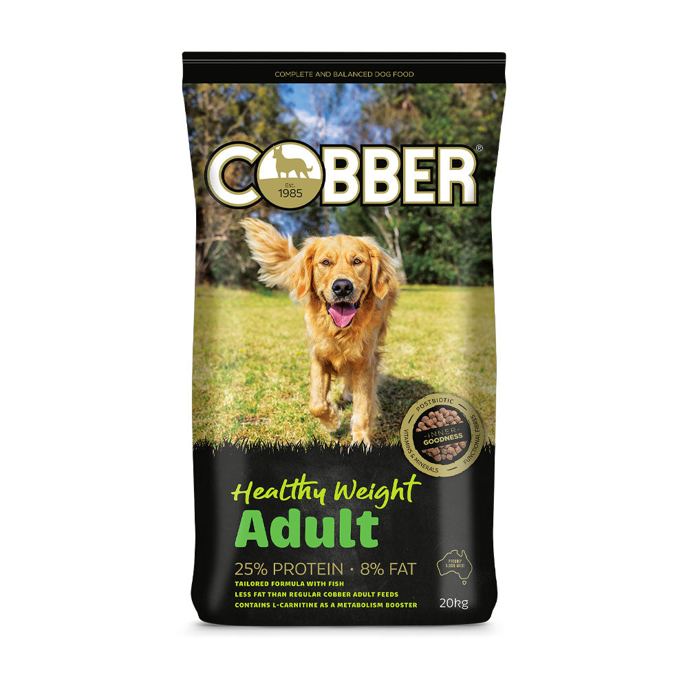 COBBER Healthy Weight Adult