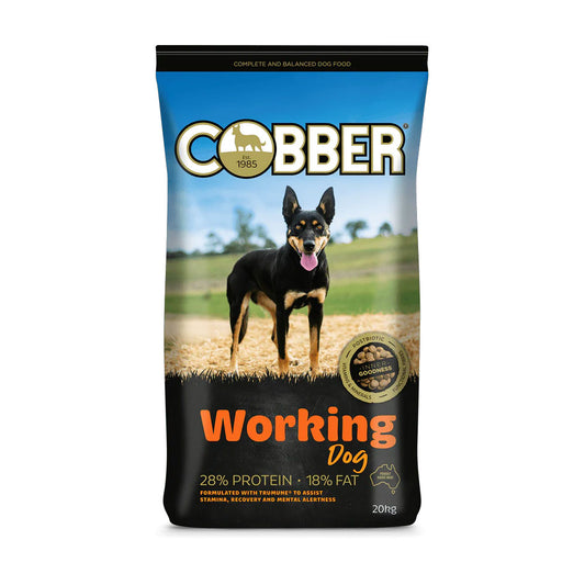 COBBER Working Dog