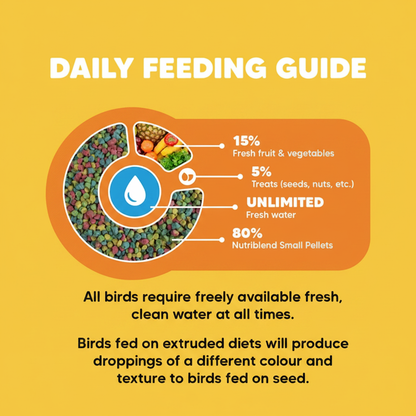 Daily Feeding Guide - Square