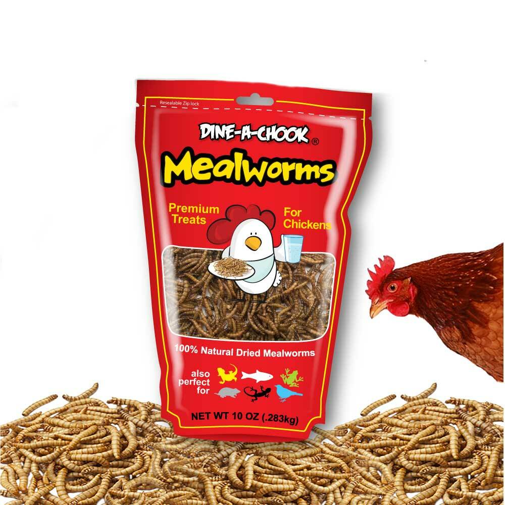 DINE A CHOOK Dried Mealworms
