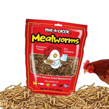 DINE A CHOOK Dried Mealworms