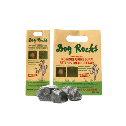 DOG ROCKS Lawn Protector