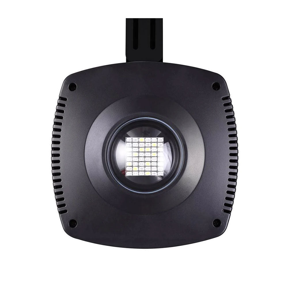DYMAX Spacex Reef Light