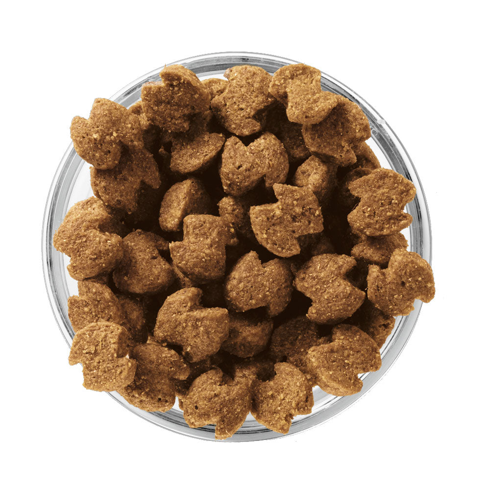 EUKANUBA Senior Medium Breed
