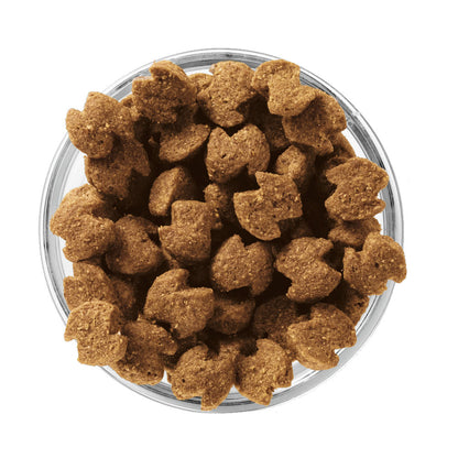 EUKANUBA Senior Medium Breed