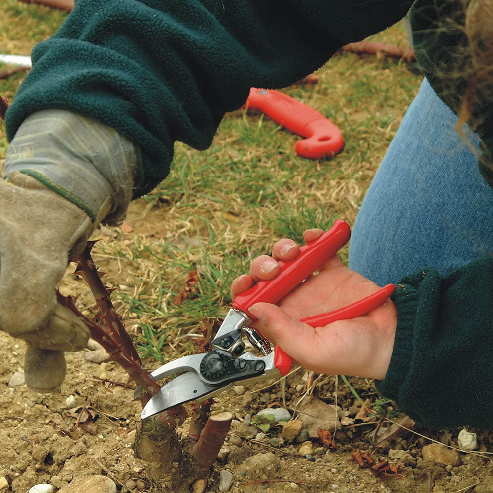 FELCO 10 Pruning Shears / Secateurs - Left Handed