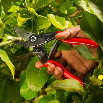 FELCO 5 Pruning Shears / Secateurs